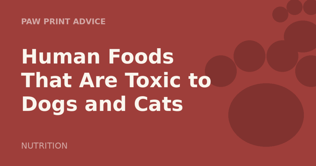 Human Foods That Are Toxic to Dogs and&nbsp;Cats